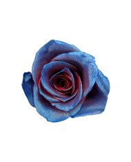 President Lincoln Tinted Roses Gift Box