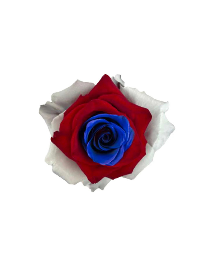President Lincoln Tinted Roses Gift Box