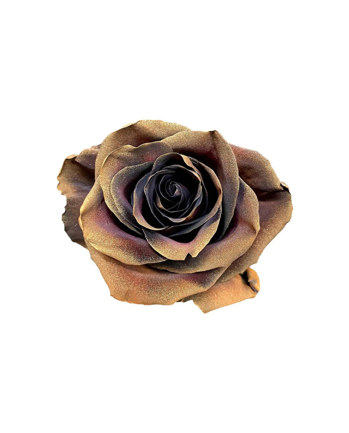 Earthworm Tinted Roses Gift Box