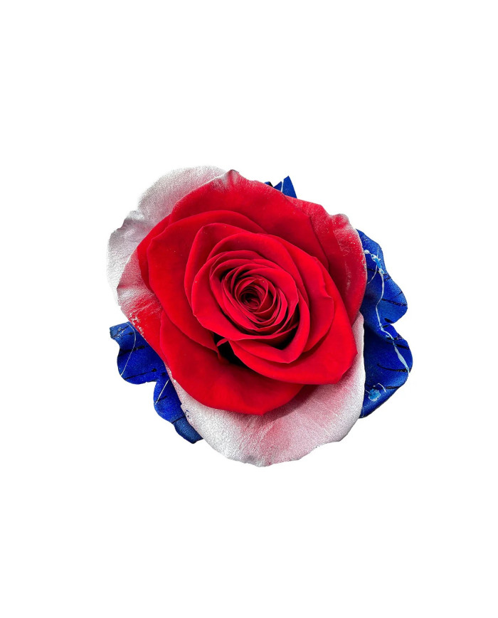 Star-Spangled Banner USA Collection Gift Box