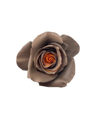 Wild Pear Thanksgiving Tinted Roses Gift Box Wild Pear Thanksgiving Tinted Roses Gift Box