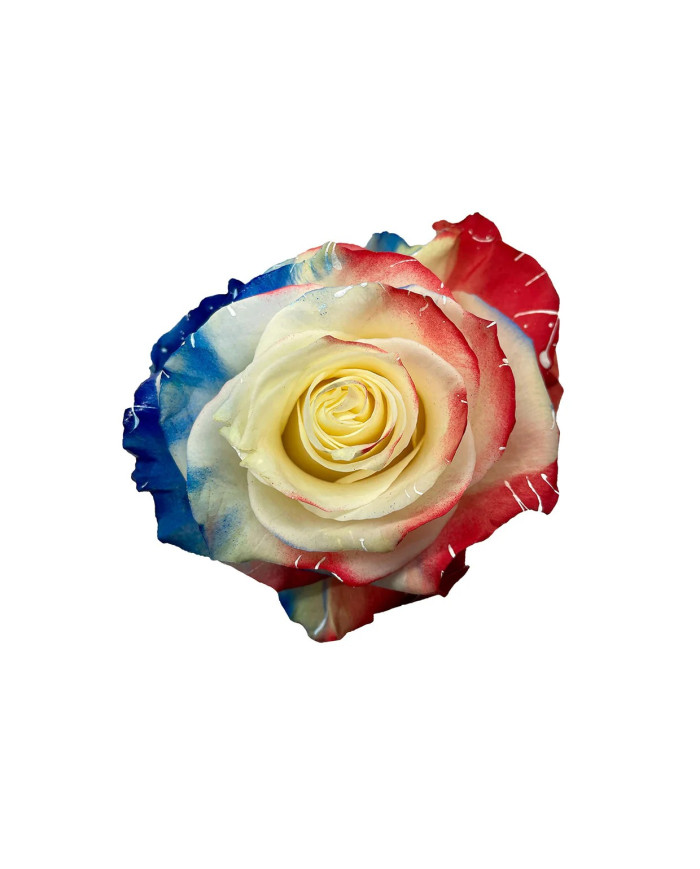 Firework USA Collection Gift Box