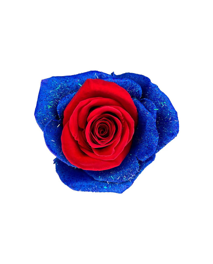 President Franklin USA Collection Gift Box