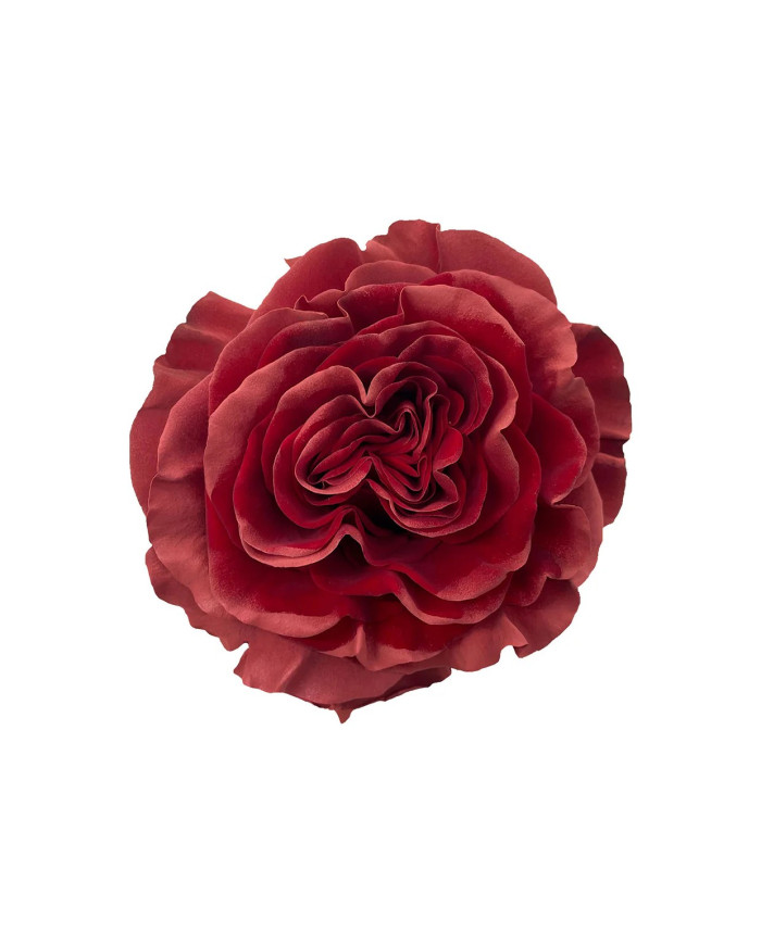 Art in Brick Tinted Roses Gift Box Art in Brick Tinted Roses Gift Box