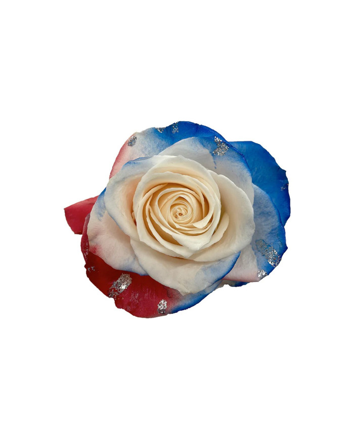 Uncle Sam 4th of July Gift Box