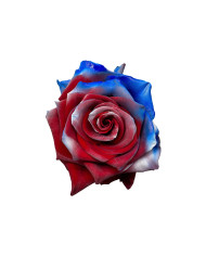 Arendelle Frozen Inspired Tinted Roses Gift Box