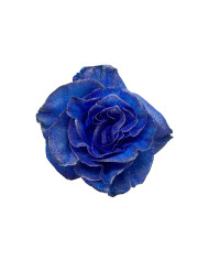 Anna Kid's Collection Tinted Roses Gift Box