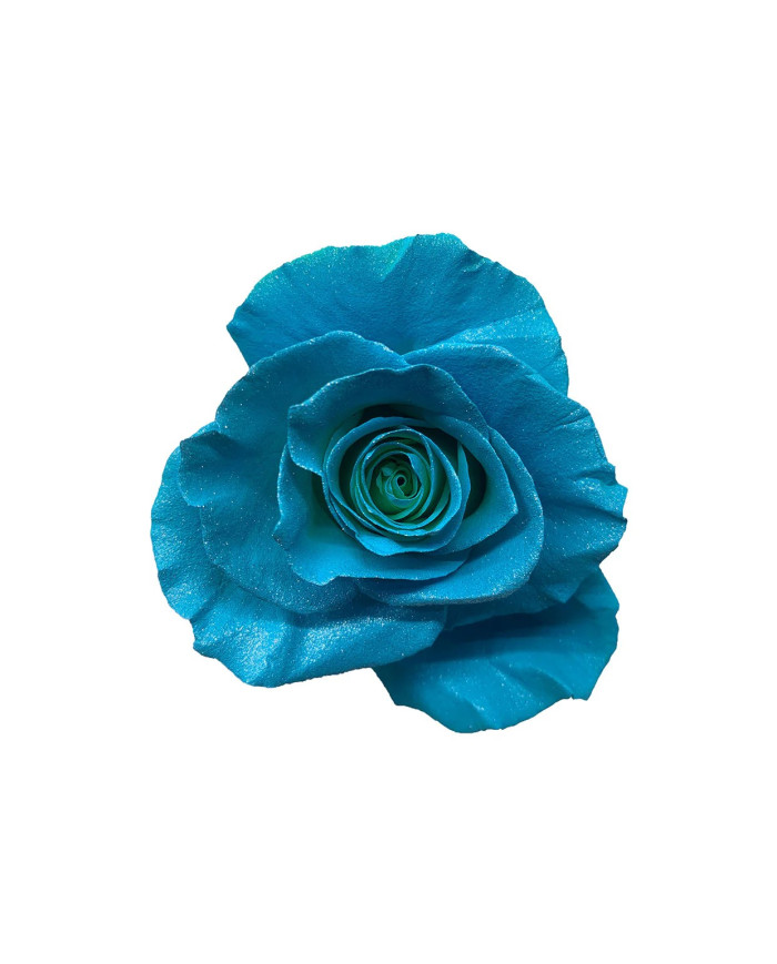 Frozen Tinted Roses Gift Box