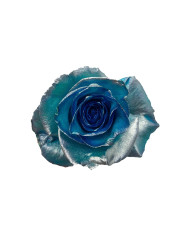 Olaf Kid's Collection Tinted Roses Gift Box