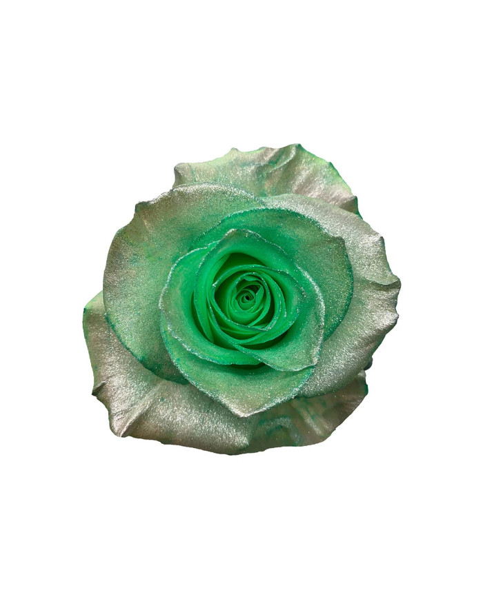 Plankton Spongebob-Inspired Tinted Roses Gift Box