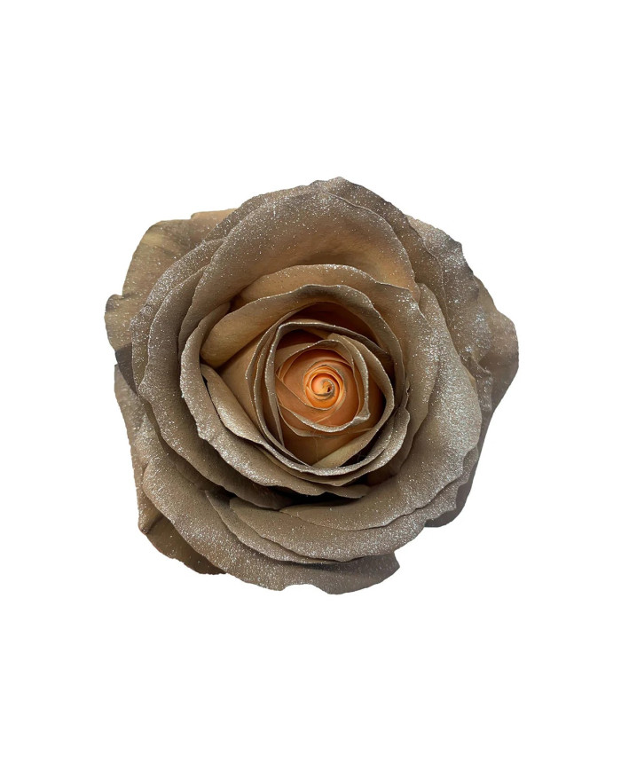 Sandy Kid's Collection Gift Box