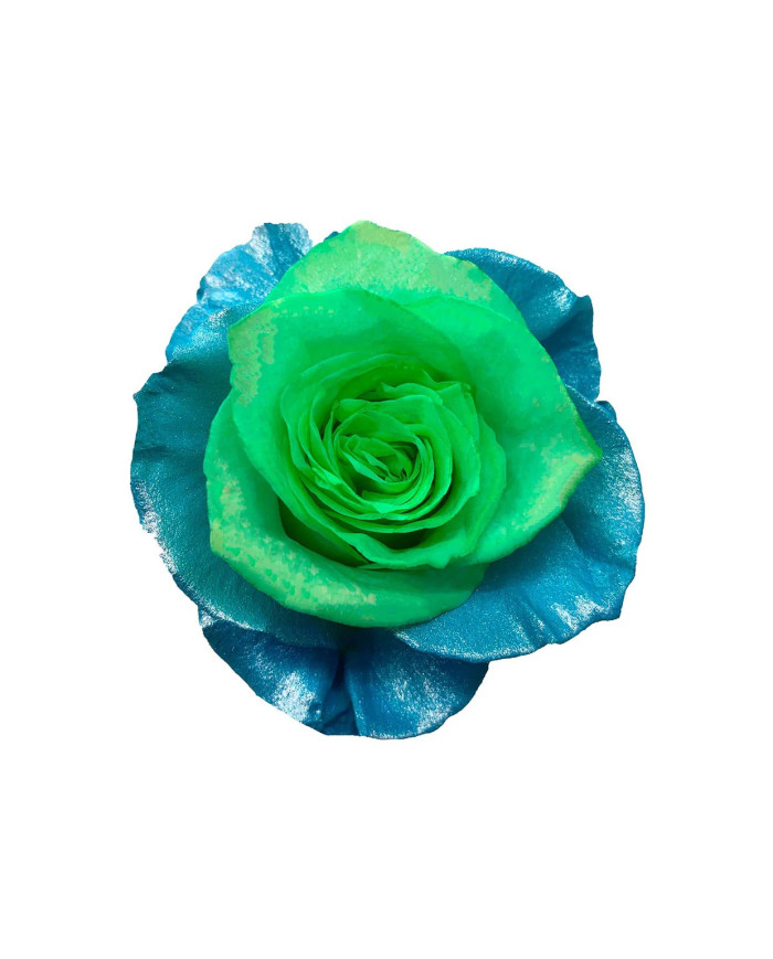 Squidward Spongebob-Inspired Tinted Roses Gift Box