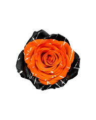 Scarecrow Tinted Roses Gift Box