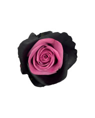 Purple Bat Halloween Gift Box