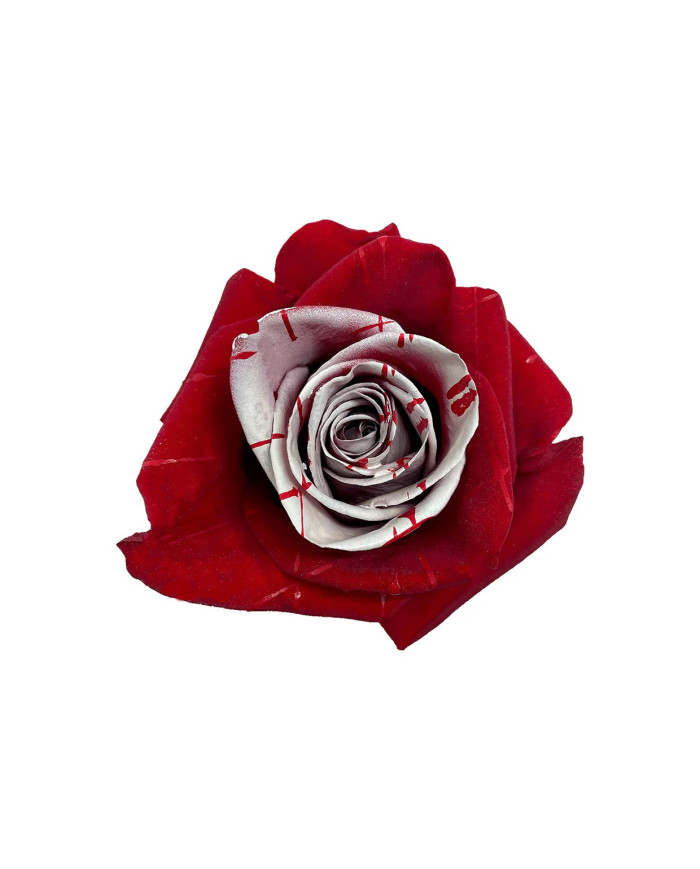 Fake Blood Halloween Gift Box Fake Blood Halloween Gift Box