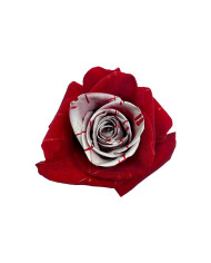 Fake Blood Halloween Gift Box