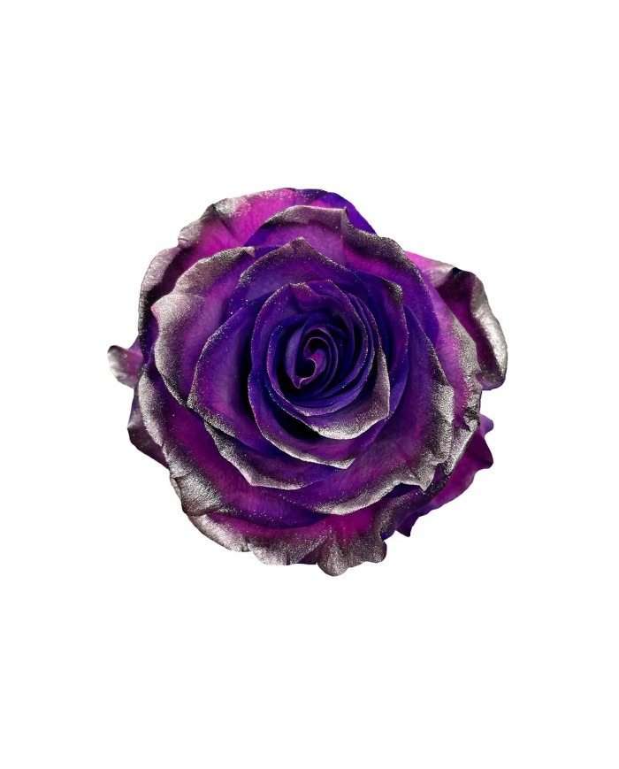 Foggy Night Halloween Gift Box Foggy Night Halloween Gift Box