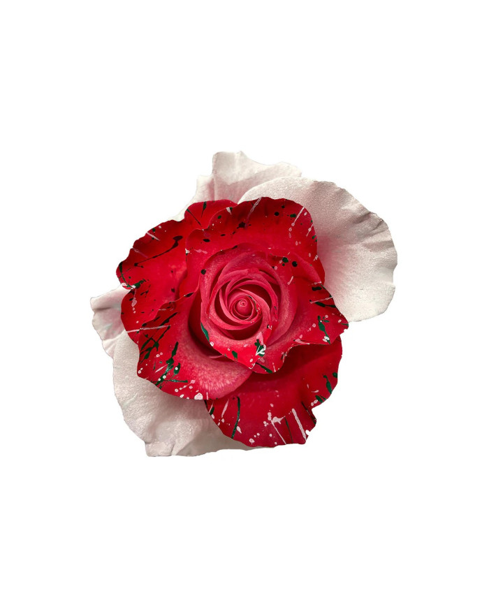 Mistletoe Christmas Gift Box Mistletoe Christmas Gift Box