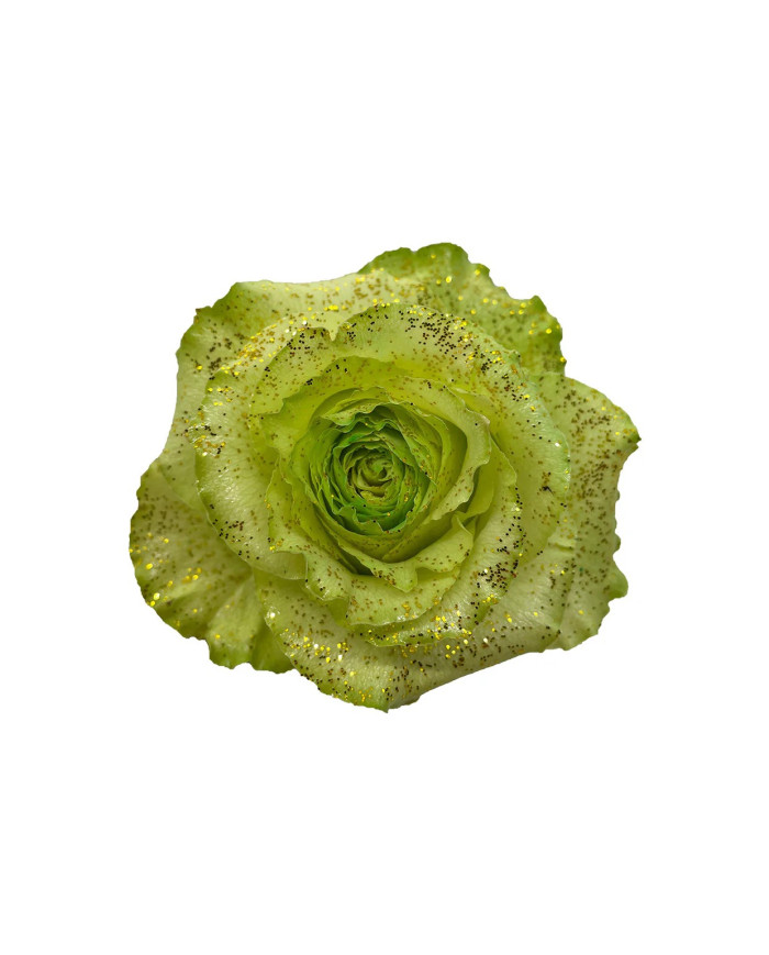 Glitzi Christmas Gift Box Glitzi Christmas Gift Box