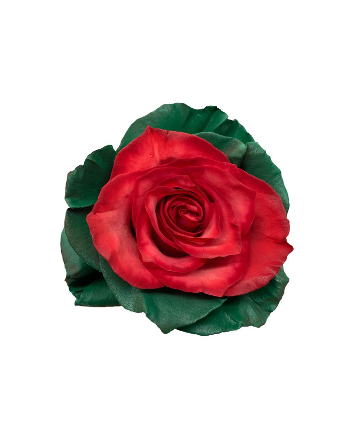 Christmas Sock Christmas Gift Box Christmas Sock Christmas Gift Box