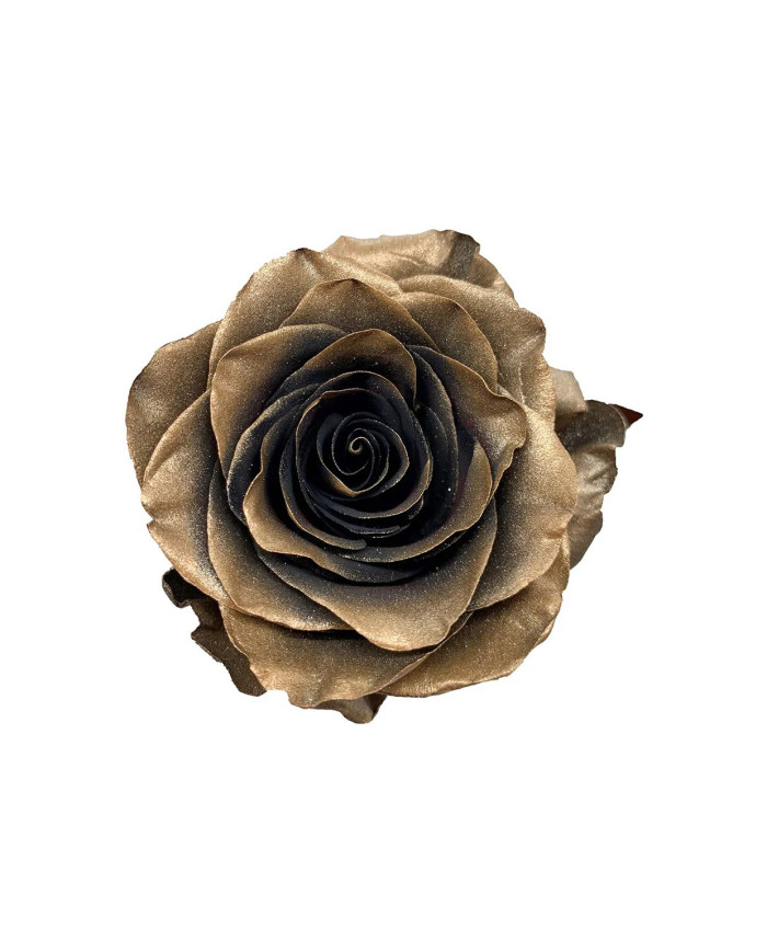 Tobacco Metallic Collection Gift Box Tobacco Metallic Collection Gift Box