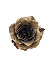 Tobacco Metallic Collection Gift Box