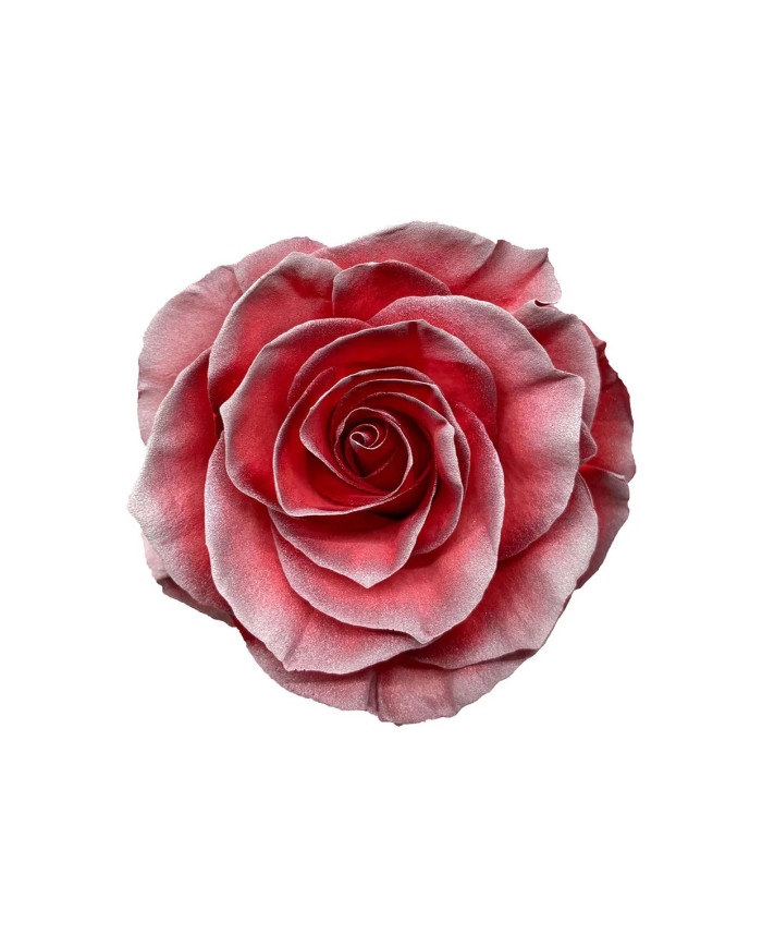 Fake Snow Christmas Gift Box Fake Snow Christmas Gift Box