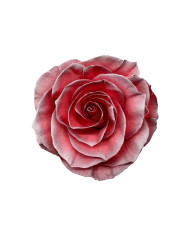 Raising Pearl Metallic Tinted Roses Gift Box