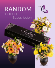 SUBSCRIPTION Box / Seasonal Magic Tinted Roses