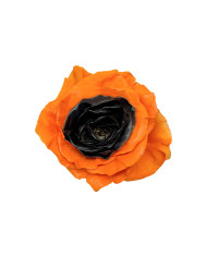 Trick or Treat Halloween Gift Box