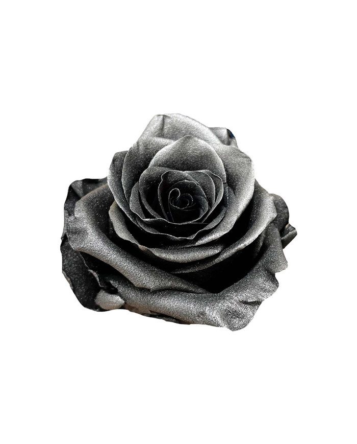 Metallic Black Tinted Roses Gift Box Metallic Black Tinted Roses Gift Box