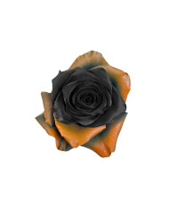 Casper Halloween Gift Box