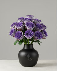 Ashes Halloween Gift Box