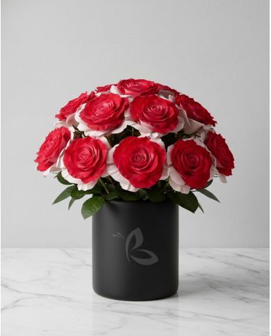 Candy Cane Christmas Gift Box Candy Cane Christmas Gift Box