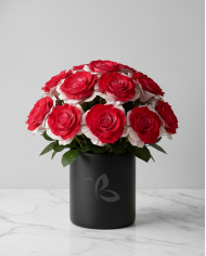 Candy Cane Christmas Gift Box Candy Cane Christmas Gift Box