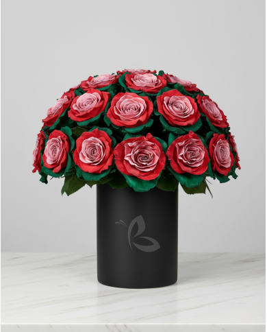 Santa's Helper Christmas Gift Box Santa's Helper Christmas Gift Box