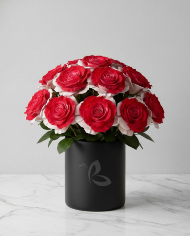 Candy Cane Christmas Gift Box