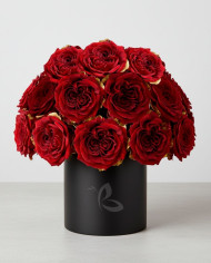 Peace Christmas Gift Box