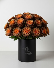 Sassafras Fall Tinted Roses Gift Box