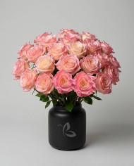 Cuddle Tinted Roses Gift Box