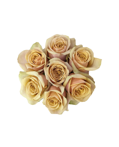 Bulk Golden Mustard Rose