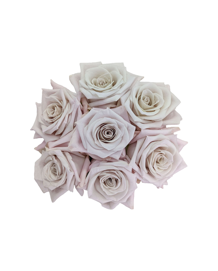 Bulk Menta Rose Bulk Menta Rose