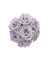 Bulk Shocking Blue Rose