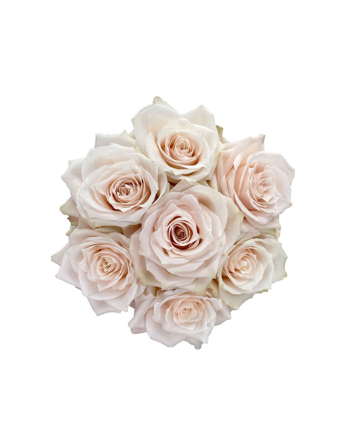 Bulk Champagner Rose