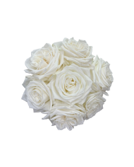 Bulk Playa Blanca Rose