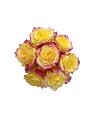 Bulk Bonfire Rose