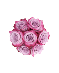 Bulk Deep Purple Rose