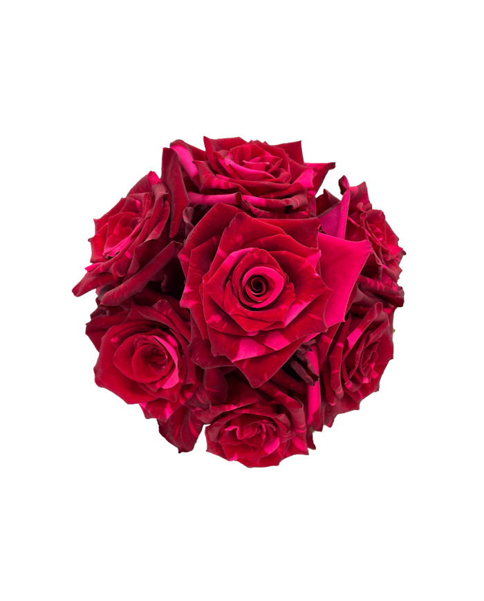 Bulk Panther Rose Bulk Panther Rose