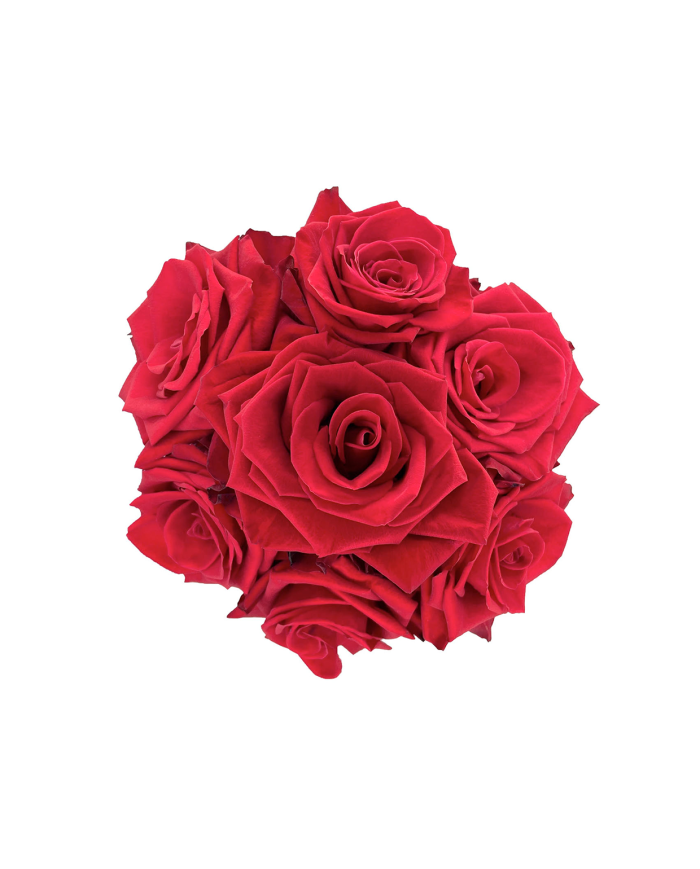 Bulk Redvolution Rose Bulk Redvolution Rose