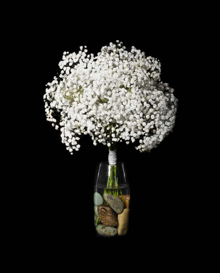 Bulk Gypsophilia Xlence